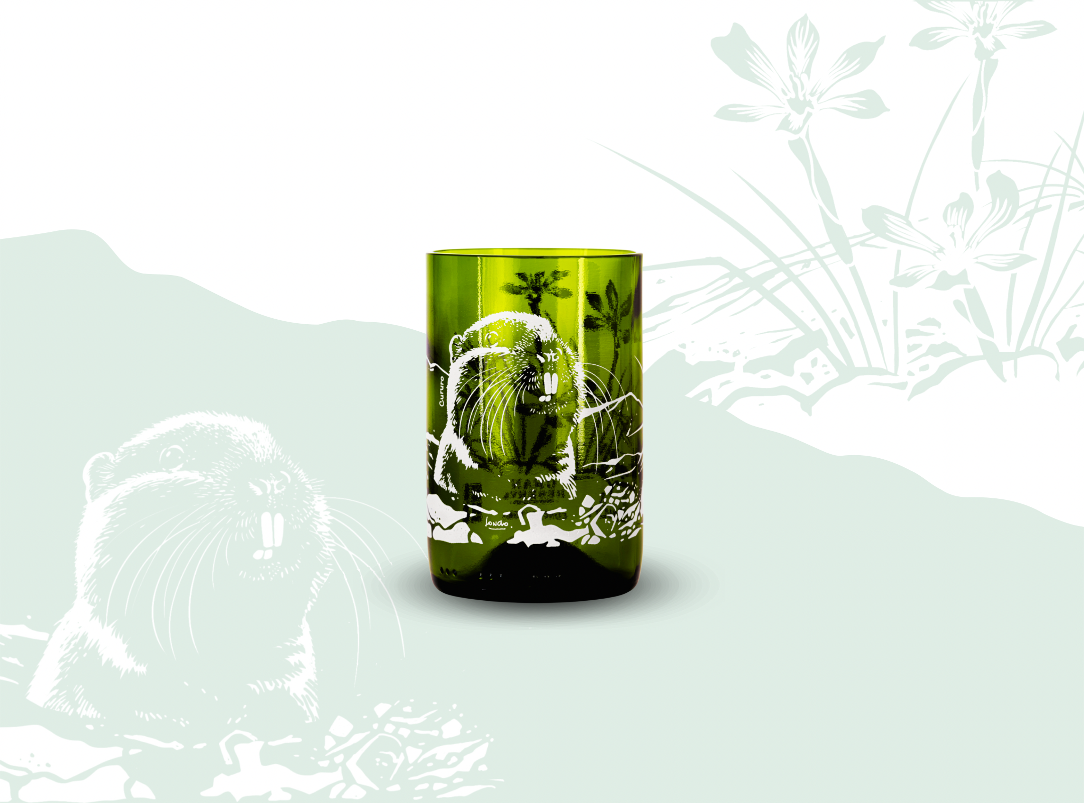 Biodiversidad O&