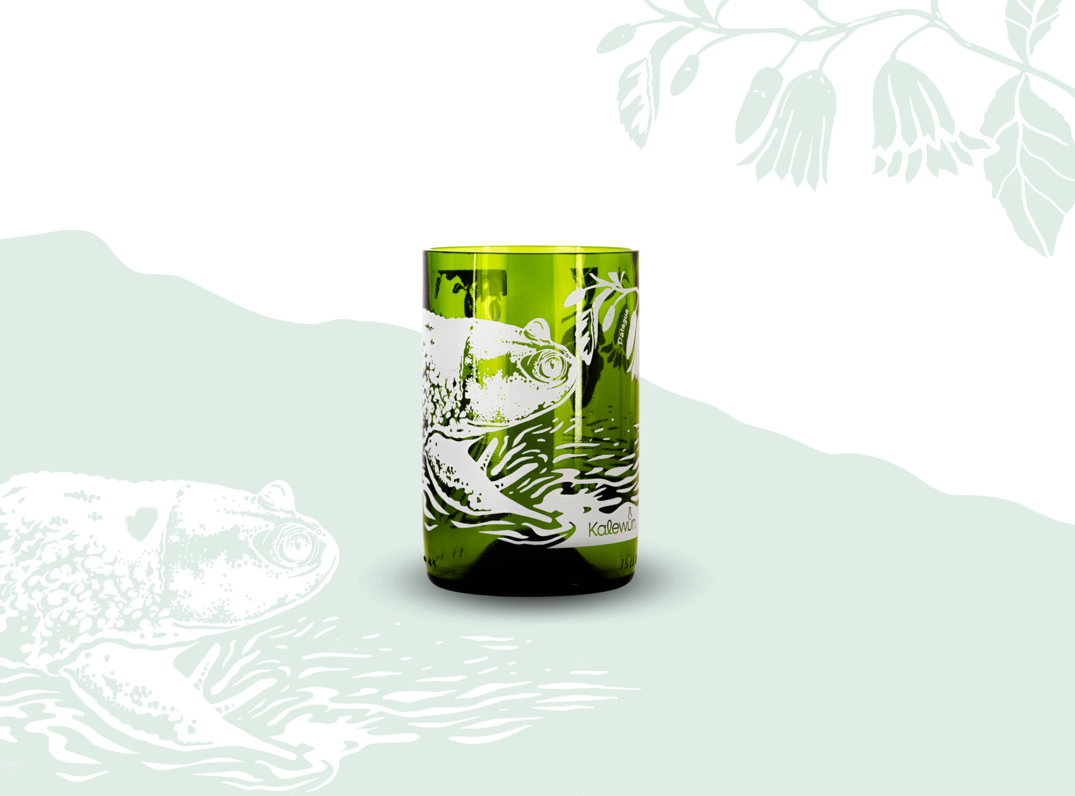 Biodiversidad O&