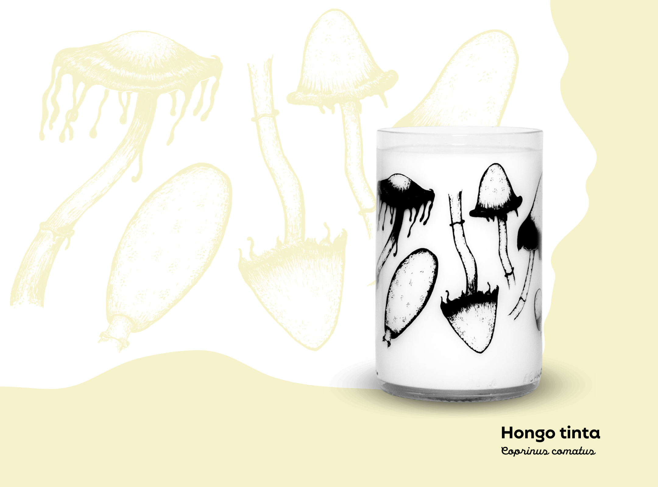 Hongos de Chile