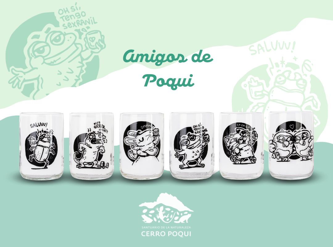 Amigos del Poqui