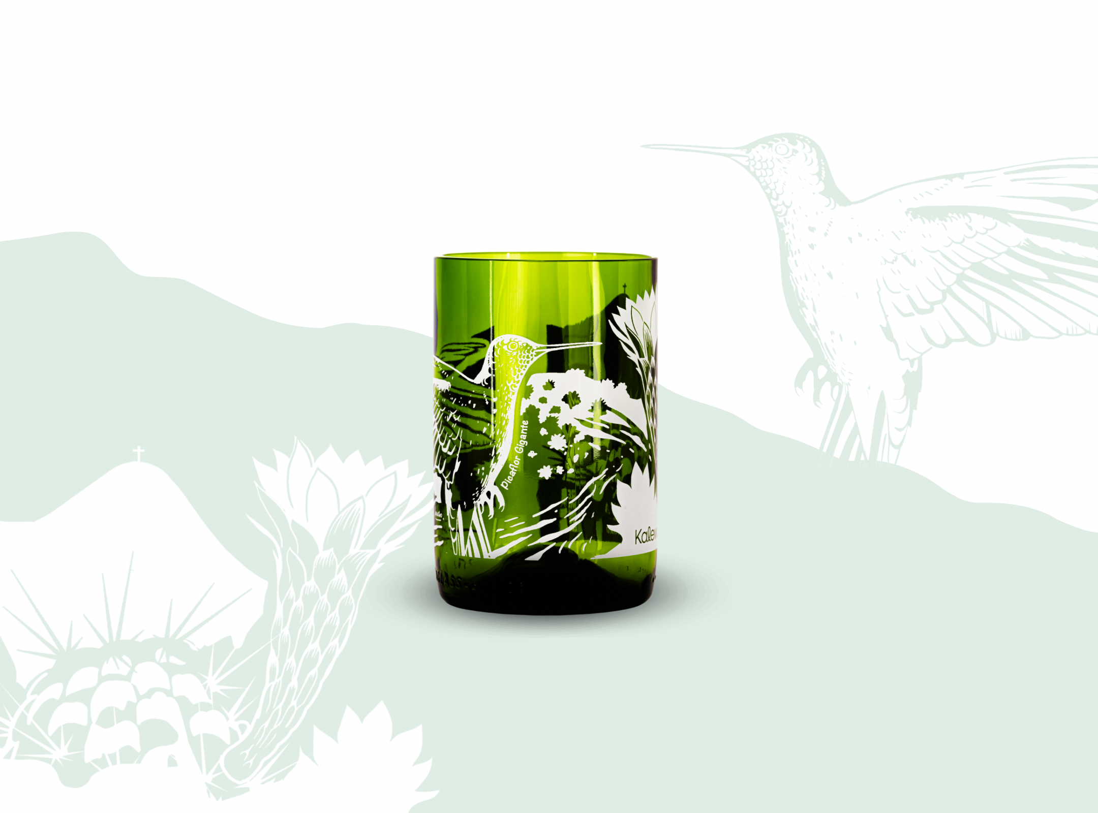 Biodiversidad O&