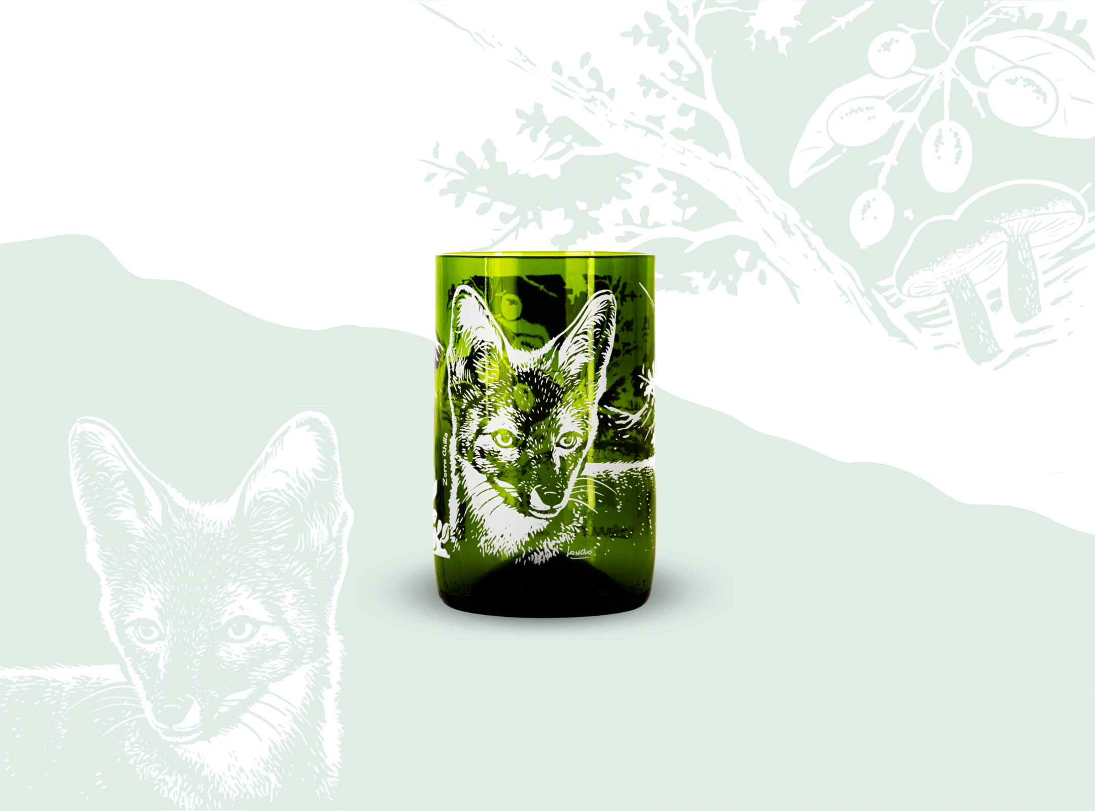 Biodiversidad O&