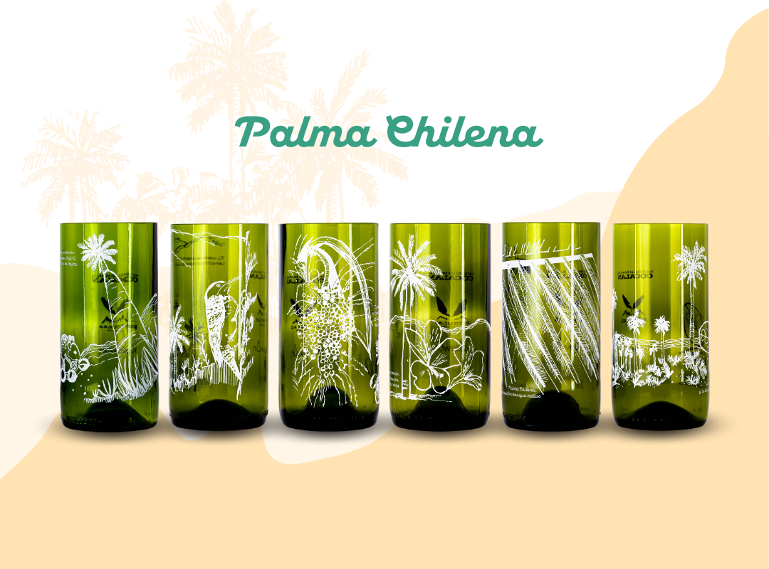 Palma Chilena