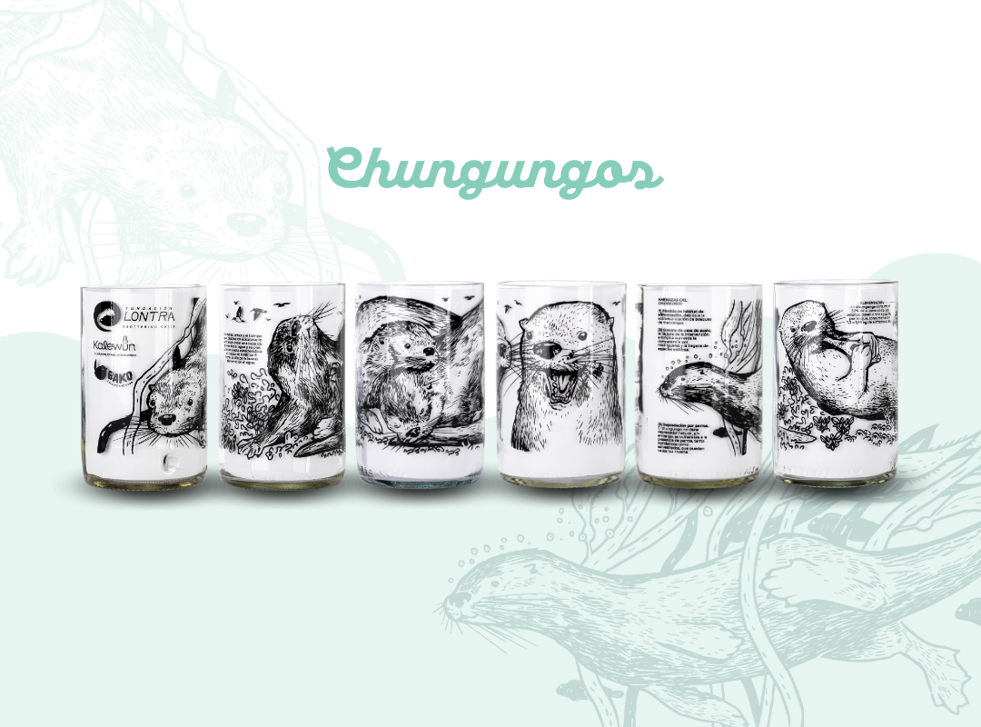 Chungungos